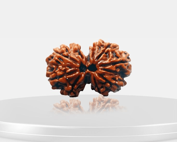 gauri-shankar-rudraksha